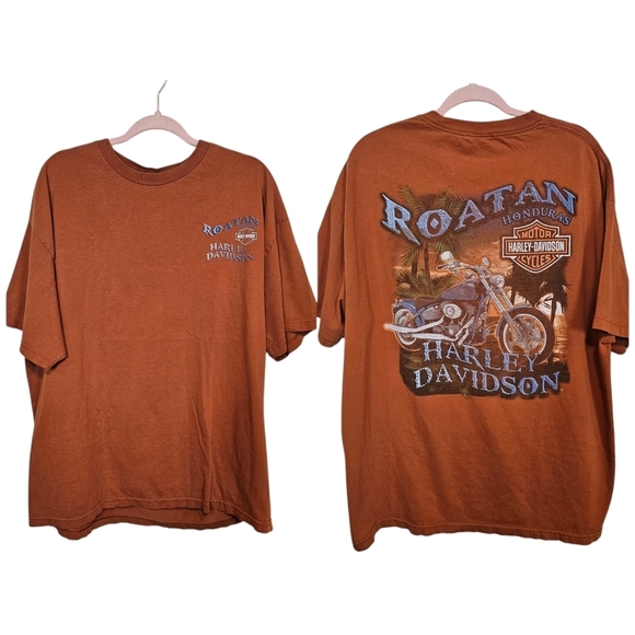 Harley Davidson Rust Grapic T-Shirt Plus Size - Picture 1 of 6